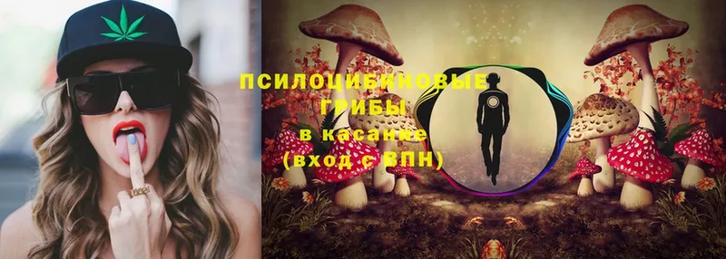 Псилоцибиновые грибы MAGIC MUSHROOMS  маркетплейс официальный сайт  Электроугли  закладки 